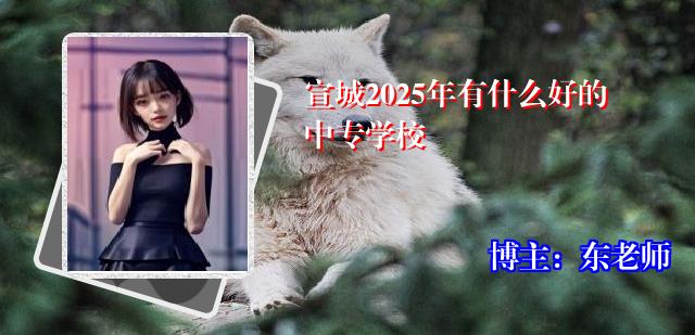 宣城2025年有什么好的中专学校