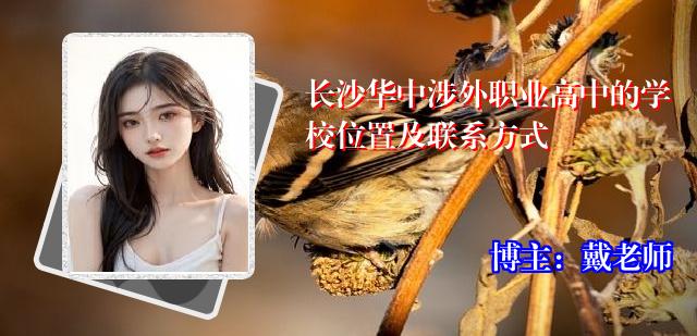 长沙华中涉外职业高中的学校位置及联系方式