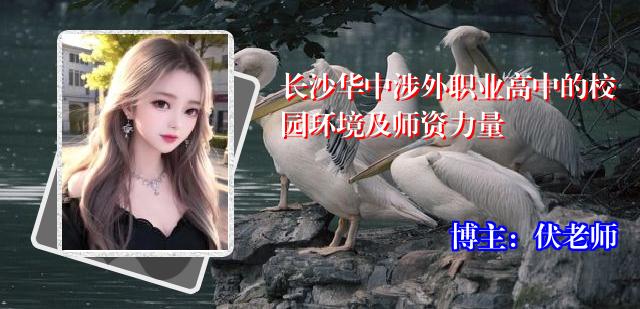 长沙华中涉外职业高中的校园环境及师资力量