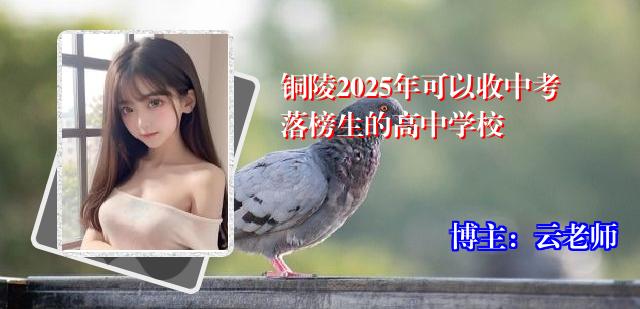 铜陵2025年可以收中考落榜生的高中学校