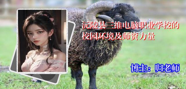 沅陵县三维电脑职业学校的校园环境及师资力量