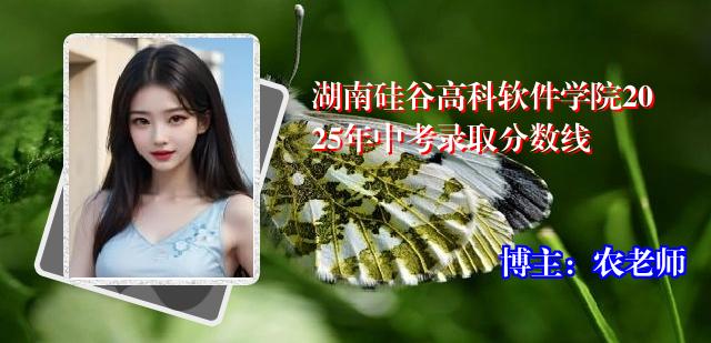 湖南硅谷高科软件学院2025年中考录取分数线