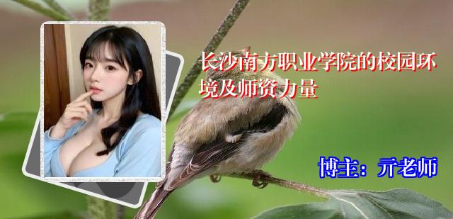 长沙南方职业学院的校园环境及师资力量