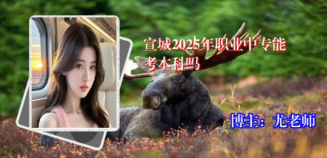 宣城2025年职业中专能考本科吗