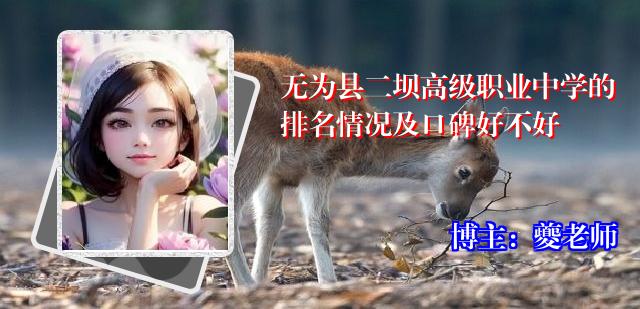 无为县二坝高级职业中学的排名情况及口碑好不好