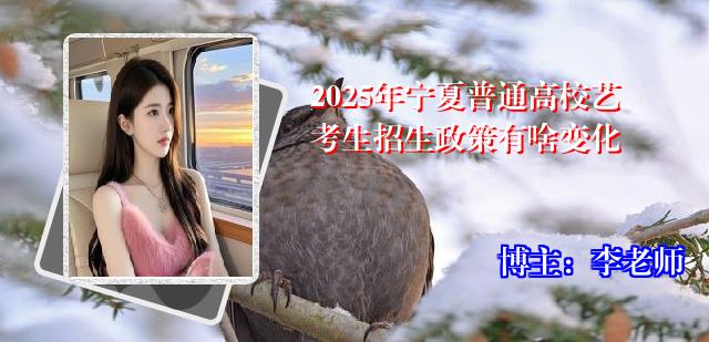 2025年宁夏普通高校艺考生招生政策有啥变化