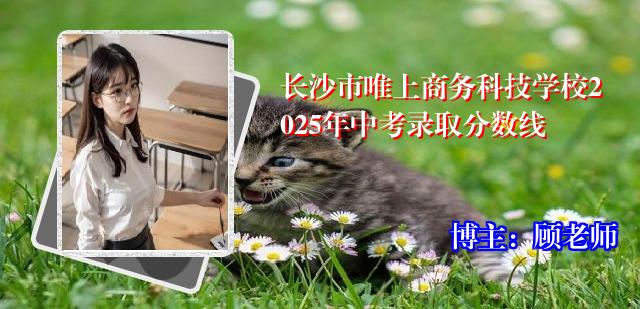 长沙市唯上商务科技学校2025年中考录取分数线