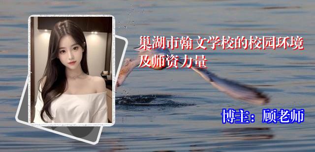 巢湖市翰文学校的校园环境及师资力量