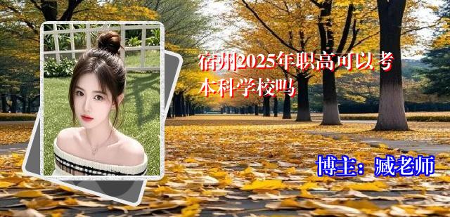 宿州2025年职高可以考本科学校吗
