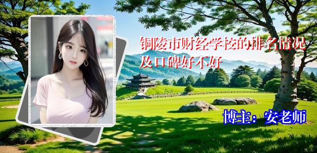铜陵市财经学校的排名情况及口碑好不好