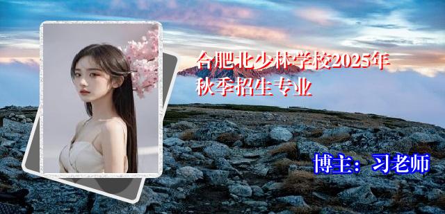 合肥北少林学校2025年秋季招生专业