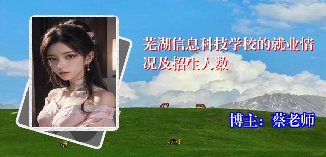 芜湖信息科技学校的就业情况及招生人数