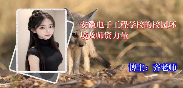 安徽电子工程学校的校园环境及师资力量