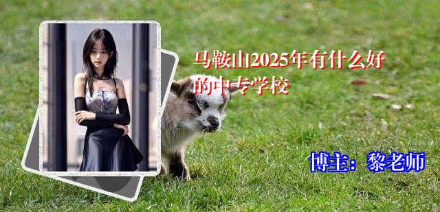 马鞍山2025年有什么好的中专学校