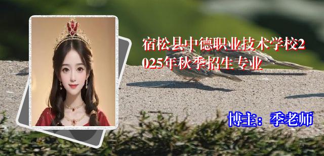 宿松县中德职业技术学校2025年秋季招生专业