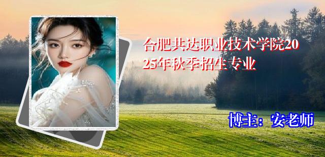 合肥共达职业技术学院2025年秋季招生专业