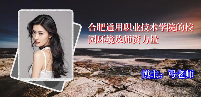 合肥通用职业技术学院的校园环境及师资力量