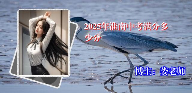 2025年淮南中考满分多少分