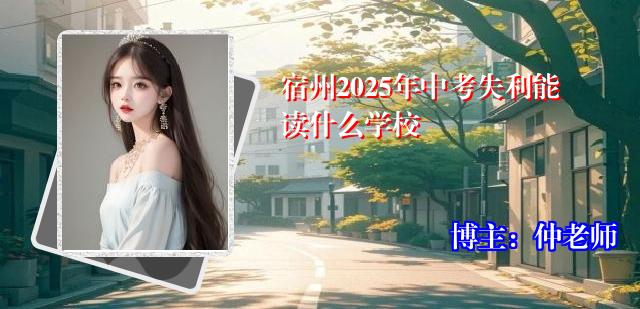 宿州2025年中考失利能读什么学校