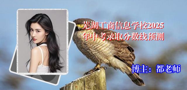 芜湖工商信息学校2025年中考录取分数线预测