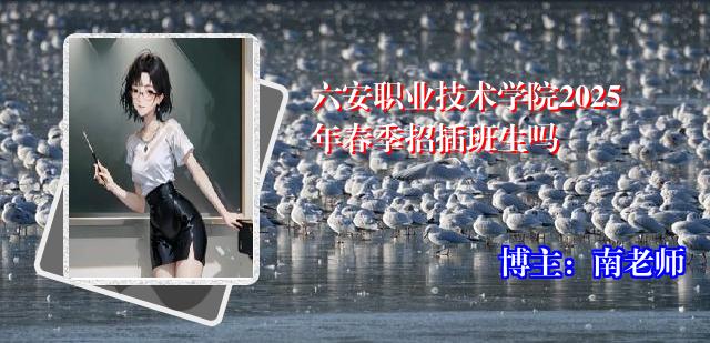 六安职业技术学院2025年春季招插班生吗