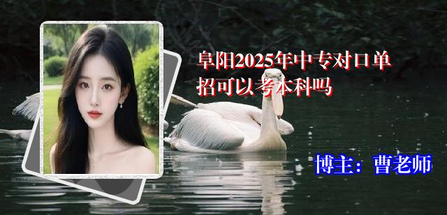 阜阳2025年中专对口单招可以考本科吗