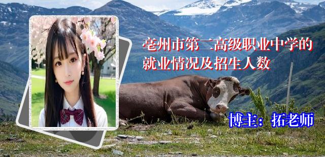亳州市第二高级职业中学的就业情况及招生人数
