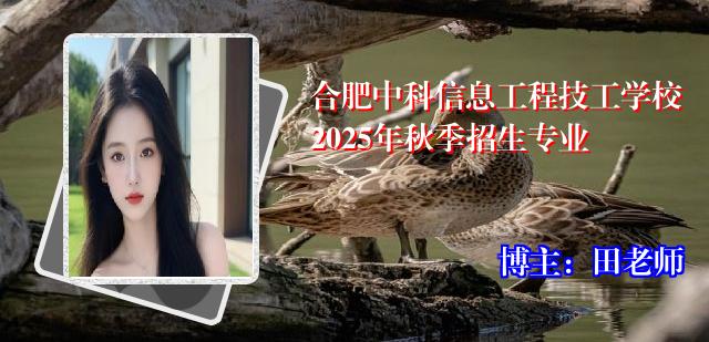 合肥中科信息工程技工学校2025年秋季招生专业