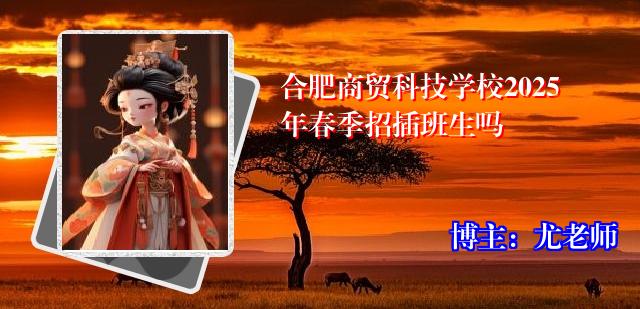 合肥商贸科技学校2025年春季招插班生吗