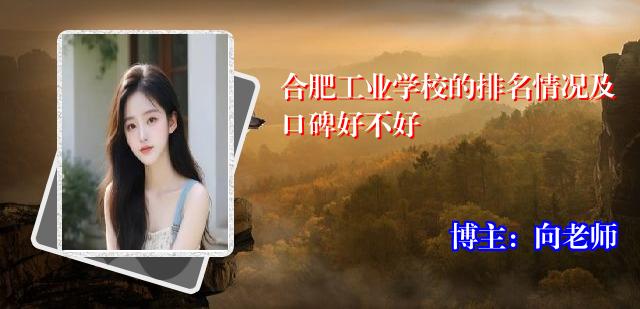 合肥工业学校的排名情况及口碑好不好