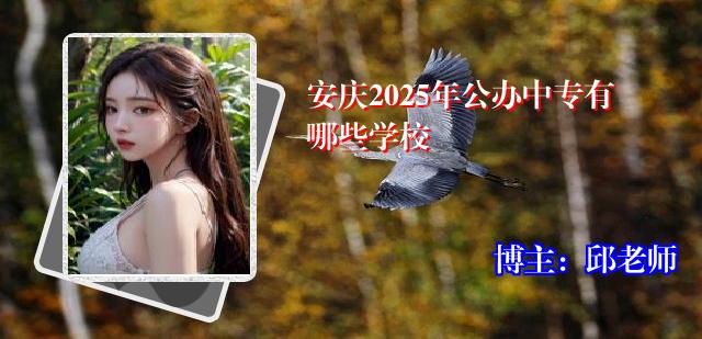 安庆2025年公办中专有哪些学校