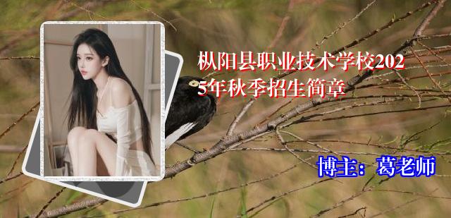 枞阳县职业技术学校2025年秋季招生简章