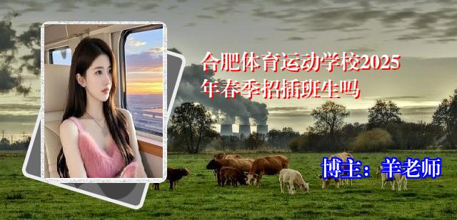 合肥体育运动学校2025年春季招插班生吗