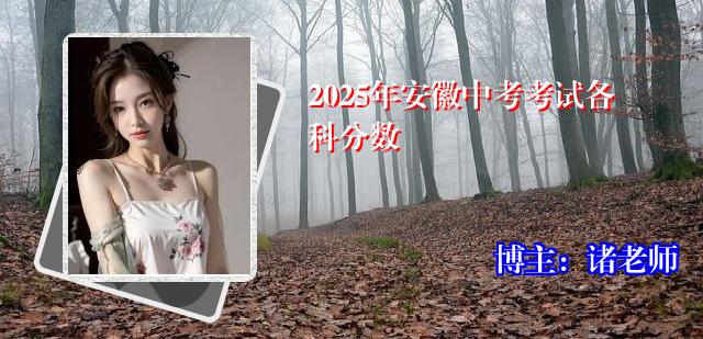 2025年安徽中考考试各科分数