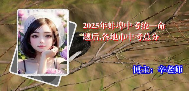 2025年蚌埠中考统一命题后,各地市中考总分