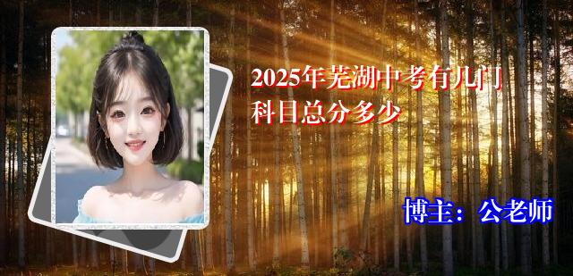 2025年芜湖中考有几门科目总分多少