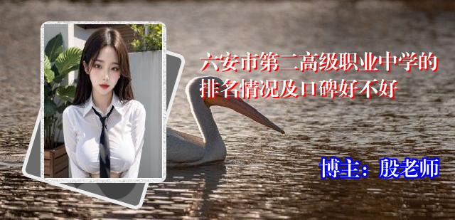 六安市第二高级职业中学的排名情况及口碑好不好