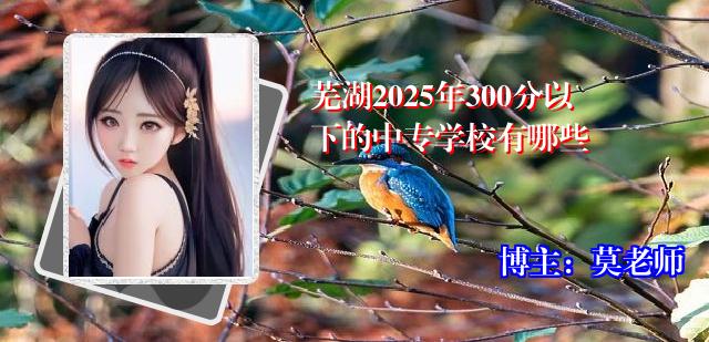 芜湖2025年300分以下的中专学校有哪些