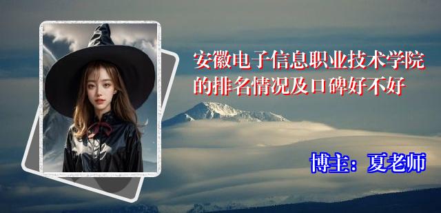 安徽电子信息职业技术学院的排名情况及口碑好不好