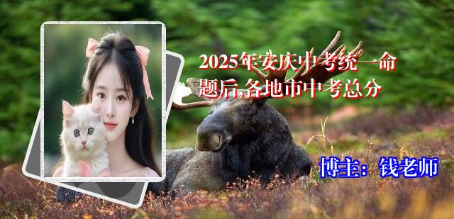 2025年安庆中考统一命题后,各地市中考总分