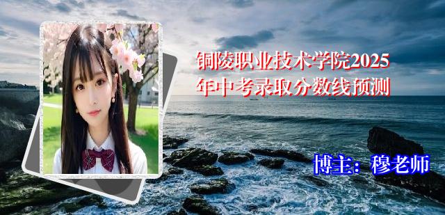 铜陵职业技术学院2025年中考录取分数线预测