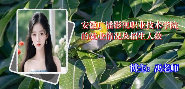 安徽广播影视职业技术学院的就业情况及招生人数