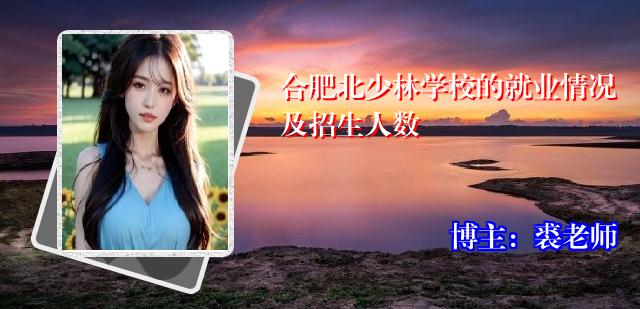 合肥北少林学校的就业情况及招生人数