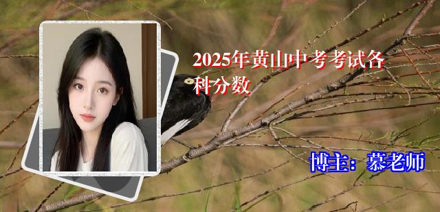 2025年黄山中考考试各科分数