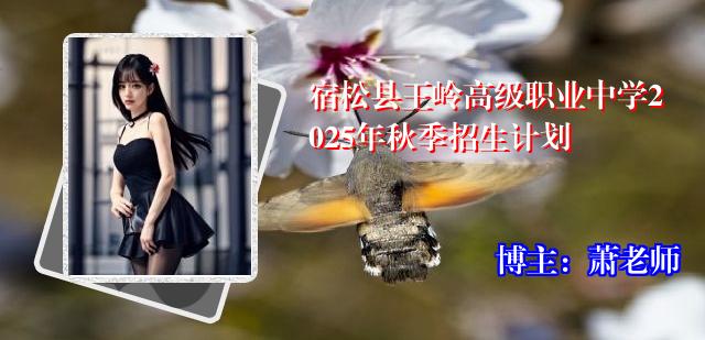 宿松县王岭高级职业中学2025年秋季招生计划