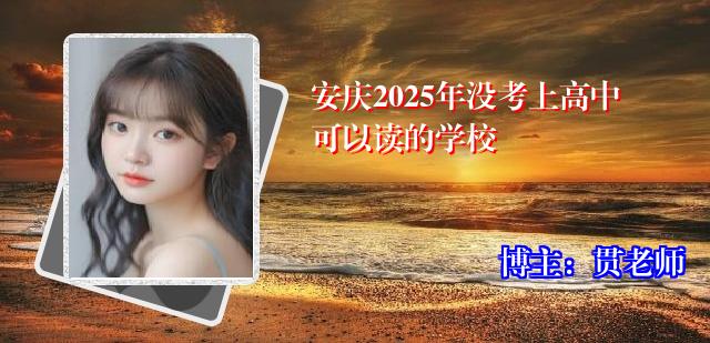 安庆2025年没考上高中可以读的学校