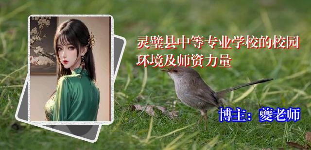 灵璧县中等专业学校的校园环境及师资力量