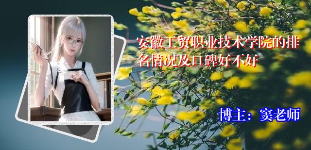 安徽工贸职业技术学院的排名情况及口碑好不好