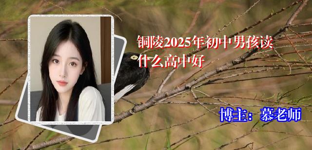 铜陵2025年初中男孩读什么高中好