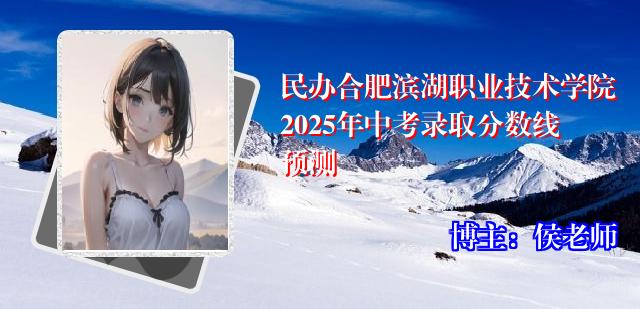 民办合肥滨湖职业技术学院2025年中考录取分数线预测